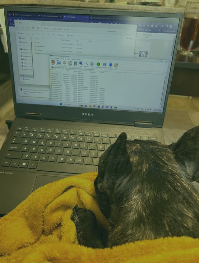 my_dog_sleeping_on_the_laptop